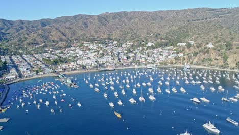 Aerial-view-of-Catalina-harbor-with-yachts-and-boats-at-anchor-in-the-blue-waters