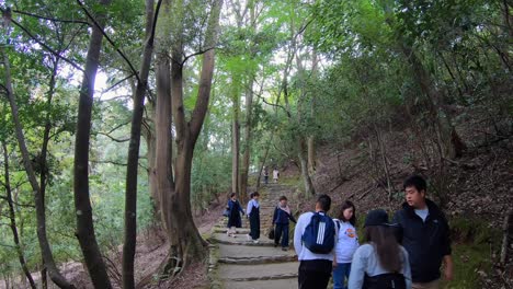 Der-Stufenpfad-Führt-Vom-Arashiyama-Bambuswald-Zum-Katsura-Fluss
