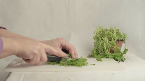Hands-cutting-fresh-coriander-herb-in-kitchen-with-knife-wide-shot