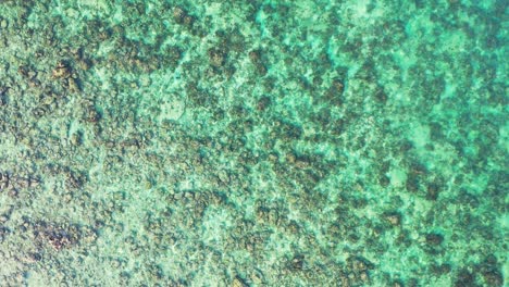 tropical-sea-water-ocean-texture,-Jamaica-coral-reef-system