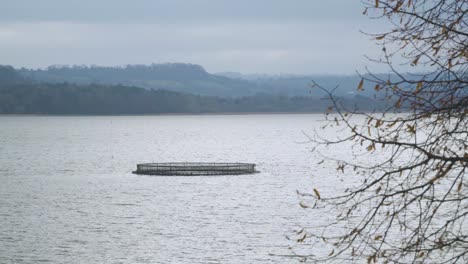 BRISTOL,-SOMERSET,-UNITED-KINGDOM,-Aquaculture-cages-in-the-middle-of-the-chew-valley-artificial-lake