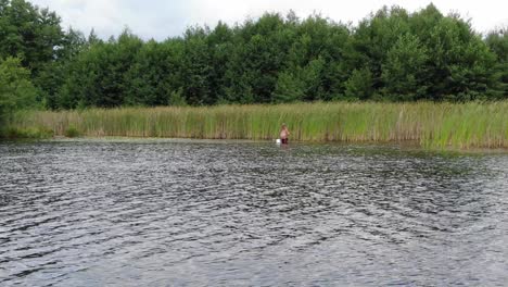Lake-With-Thick-Forestry-in-Background-With-Man-Fishing-in-Shallow-Water