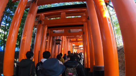 Kyoto-Japón,-Alrededor-De:-Timelapse-Caminando-Con-Hermosas-Puertas-Torii-Rojas-En-El-Santuario-Fushimi-Inari-En-Kyoto,-Japón