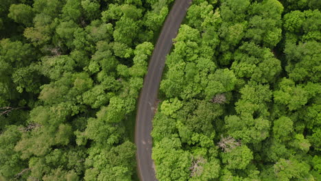 Aerial-drone-overhead-flying-over-curvy-rural-road-through-bright,-green-forest-in-central-Pennsylvania