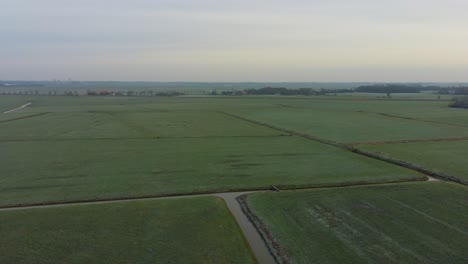 Drone-Pan-hover-flight-Over-meadows-Europe-Netherlands,-Friesland