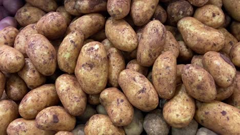 Unwashed-organic-fresh-potatoes-in-the-market