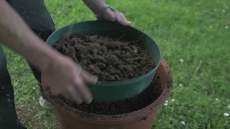 Sieving-soil-to-remove-any-rocks-and-roots