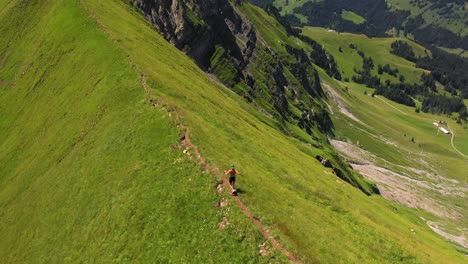 Aerial-shot-filming-down-and-tracking-a-youthful-runner,-running-in-high-speed-on-the-uneven-dirt-path-on-the-top-of-Hardergrat-ridge-in-Switzerland