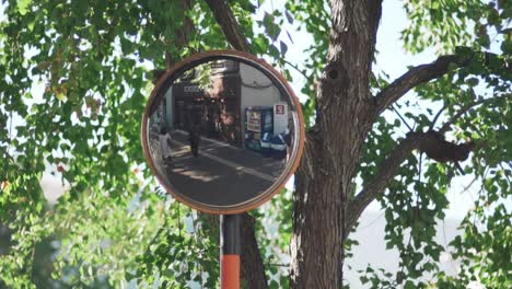 Street-View-Through-A-Mirror-Reflection-In-Tokyo,-Japan-With-Lush-Tree-In-The-Background---close-up-slowmo