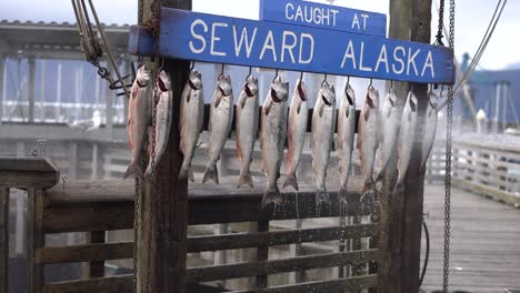 Seward-Alaska-town-moving-pov