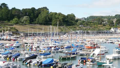 A-busy-harbour-and-beach-at-Lyme-Regis