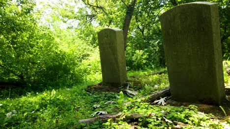 Alte-Grabsteine-Auf-Einem-Unheimlich-Verwunschenen-Waldfriedhof
