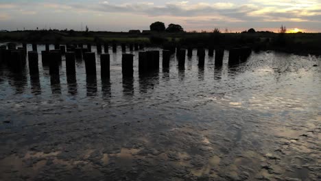 Posts-in-mud-at-fresh-water-tidal-area-in-the-Netherlands