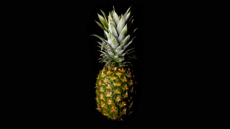 Kunstkonzept-Saftiger-Ananasfrüchte-Mit-Darüber-Fließendem-Wasser---Statische-Ansicht-Mit-Schwarzem-Hintergrund