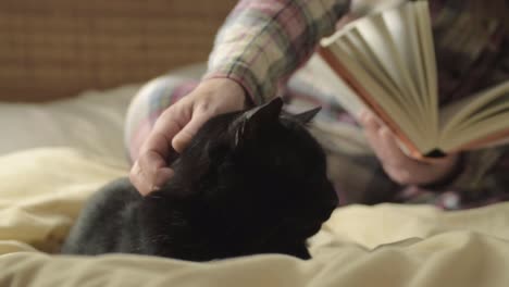 Pet-owner-reading-book-in-bed-stops-to-pet-black-cat-medium-shot