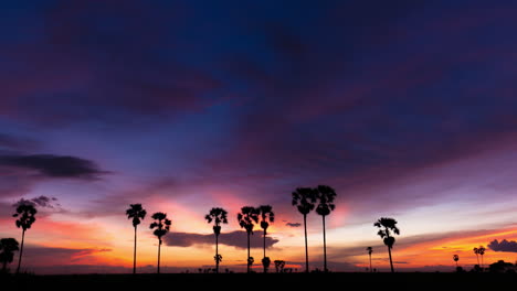 Multi-Coloured-Sunset-over-Rice-Paddy-and-Palm-Trees-in-the-Asian-Planes