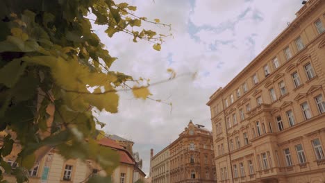 Nach-Oben-Geneigte-Ansicht-Neben-Im-Wind-Schwankenden-Ästen-In-Der-Nähe-Von-Wohnwohnungen-In-Prag