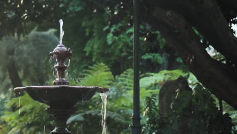 Detail-of-a-nice-fountain-in-a-park-with-some-birds-flying-at-the-background-on-a-cloudy-day