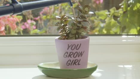 Watering-plant-in-a-'you-grow-girl'-pot-in-slow-motion