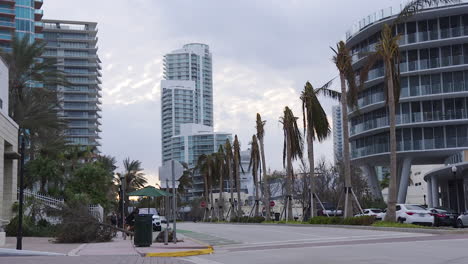 Hurrikan-Beschädigte-Palmen-Auf-Einer-Straße-In-Miami-In-Der-Nähe-Des-Strandes