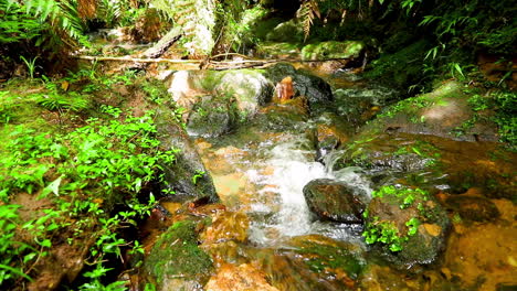 Ruhiger-Wasserfall-In-Einem-Wald