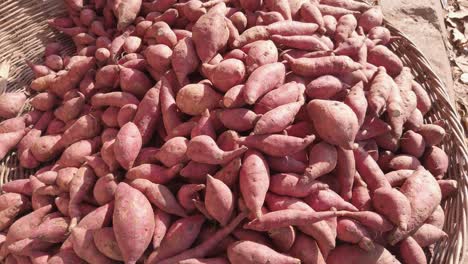 A-Big-Pile-of-Sweet-Potatoes-in-a-Basket-Ready-For-Sale