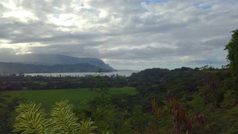 4k-Hawaii-Kauai-Ragt-Aus-Roten-Pflanzen-Empor-Und-Enthüllt-Bäume-Und-Ein-Grasfeld,-Eine-Meeresbucht-Und-Eine-Bergige-Küste-In-Der-Ferne-Mit-Größtenteils-Bewölktem-Himmel