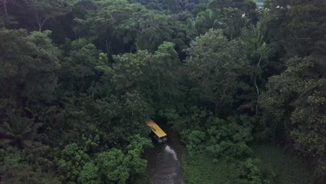 Boat-disappearing-into-the-jungle
