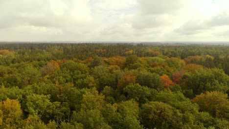 Herbstwald-Luftaufnahme,-Die-An-Einem-Bewölkten-Tag-Mit-Sonnenschein-Auffliegt,-Mit-Blick-Auf-München-Am-Weiten-Horizont
