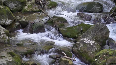 Green-And-Wet-Mossy-Stones-And-Rocks-Along-Mountain-River-Stream-in-Slow-motion