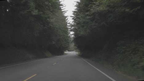 Conduciendo-Por-La-Larga-Y-Recta-Carretera-Forestal-De-Oregon