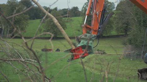 Digger-excavator-with-tree-shears-attachment-release-tree