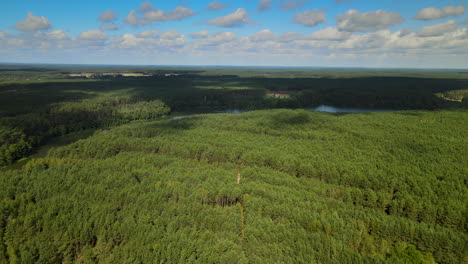 Kowalskie-Blota-In-Polen-–-Friedliche-Landschaft-Mit-Grünen,-üppigen-Bäumen-Und-Strahlend-Blauem-Himmel-Darüber-–-Luftaufnahme