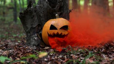 Zeitlupe-Eines-Halloween-Kürbises-Mit-Einer-Orangefarbenen-Rauchbombe-Im-Inneren-In-Einem-Gruseligen-Wald-Mit-Verschwommenem-Hintergrund