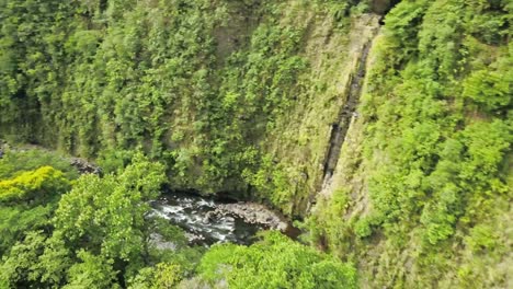 Stunning-aerial-shot-of-a-tropical-canyon-above-the-river-with-thick-vegetation