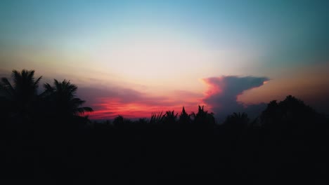 Roter-Sonnenuntergang-Hinter-Den-Palmen-Im-Dschungel