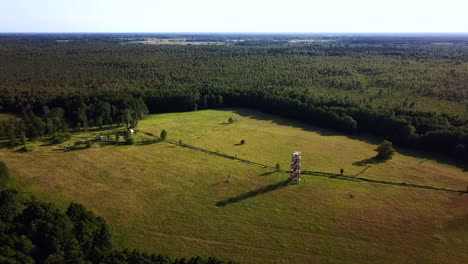 Lowe-light-footage-of-a-tower-in-Estonia-Summer-from-drone