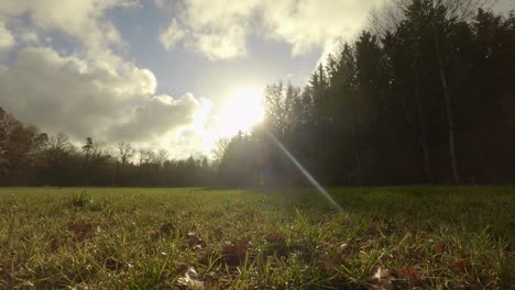 Timelapse-of-a-sunny-autumn-day-with-moving-clouds-from-low-perspective
