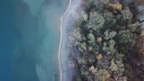 Vogelperspektive-Auf-Eine-Weiße-Küste-Mit-Bäumen-Entlang-Eines-Kristallblauen-Sees-Mit-Verschiedenen-Blautönen