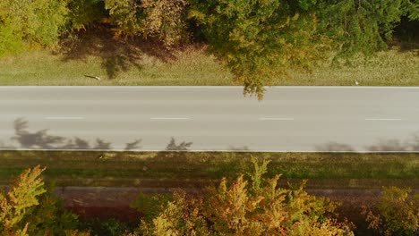 Aerial-autumn-street-view---top-shot-drone-footage-zooming-out-at-a-straight-road,-leading-through-a-forest-framed-by-fall-colored-trees-at-a-sunny-day