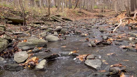 Creek-Water-Flowing-Over-Stones-With-Autumn-Leaves