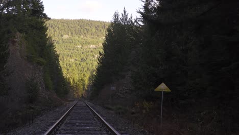 Eisenbahnschienen-Durch-Den-Wald-Bei-Sonnenuntergang