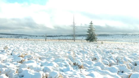 Low-altitude-ascending-drone-shot-revealing-beauty-of-winter-moorland