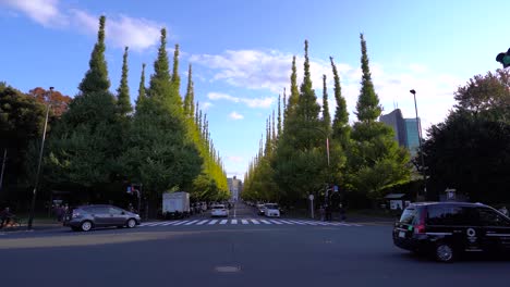 Beautiful-wide-view-of-Ginko-Alley-in-Tokyo-with-car-traffic-on-bright-day
