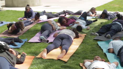 Eine-Gruppe-Junger-Grundschüler-Macht-Yoga-Auf-Bunten-Matten-Im-Gras