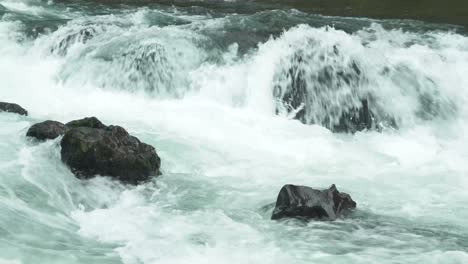 Lewis-River-churns-around-boulders-in-rapids,-static-shot