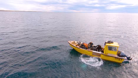 Taucherfischer-Springt-über-Bord-Des-Bootes-In-Der-Weite-Des-Patagonischen-Meeres---Luftaufnahme-Mit-Zoom-Verkleinerung