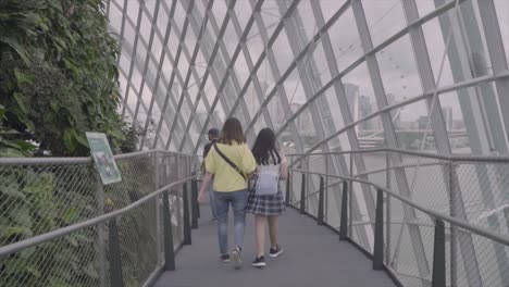 Cloud-Walk-and-Treetop-Walk-In-Cloud-Forest-Dome-With-Tourists-Strolling,-Gardens-By-the-Bay,-Singapore---approach