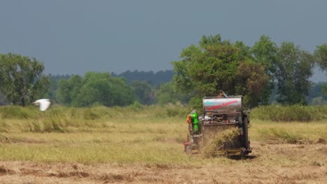Rice-Harvester-and-Milling-Machine,-4K-Footage