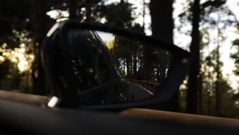 Car-side-mirror-view-of-driving-through-a-forest-during-the-evening,-Tenerife